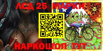 прущие грибы Можга
