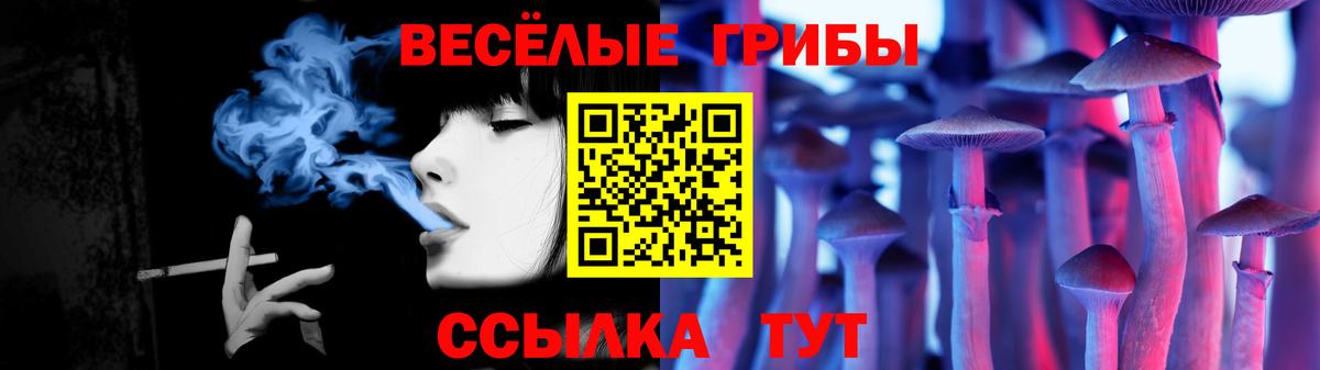 Галлюциногенные грибы MAGIC MUSHROOMS  Вход с VPN  Фурманов  Галлюциногенные грибы GOLDEN TEACHER 